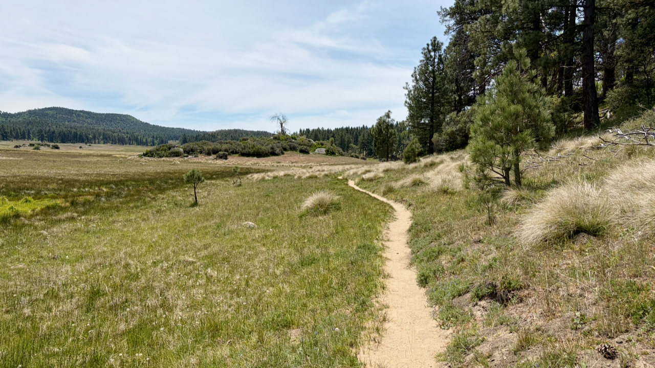 Trail View
