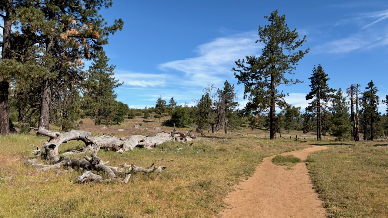 Trail View