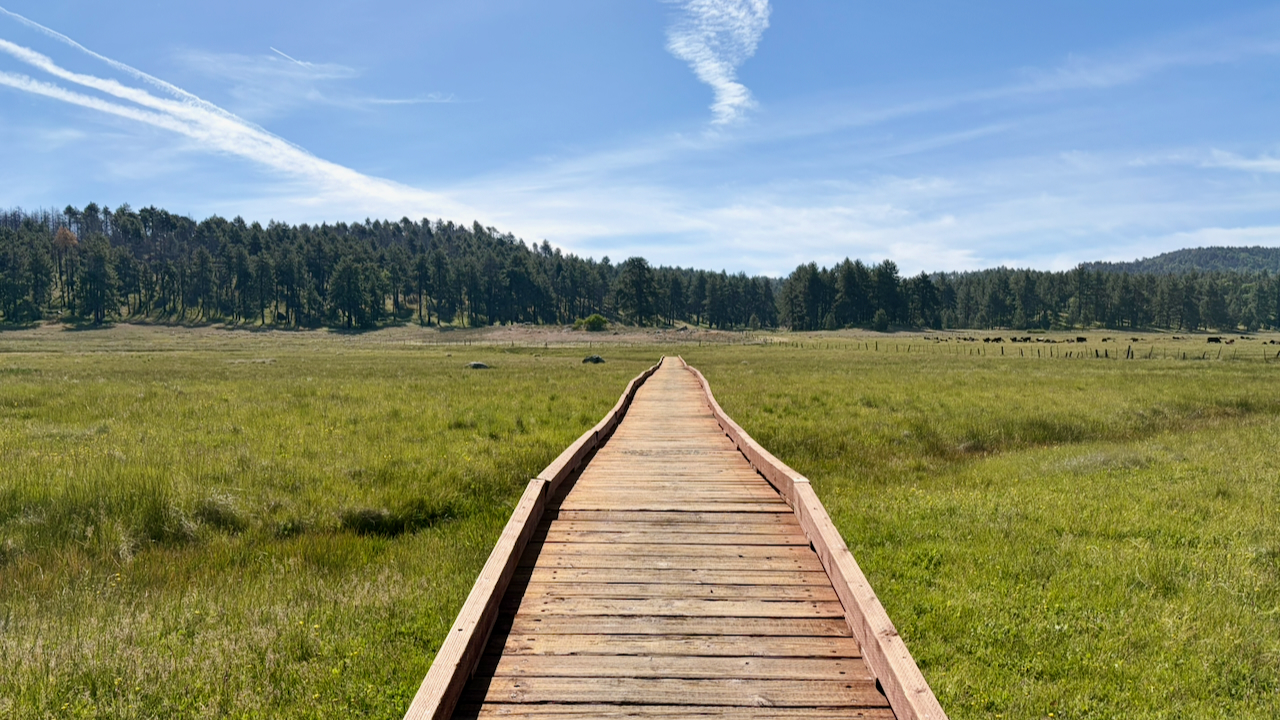 Trail View