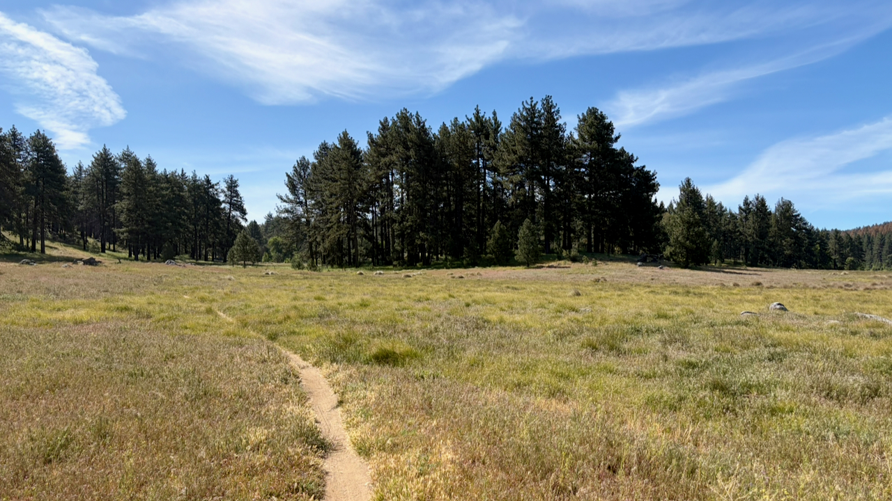 Trail View