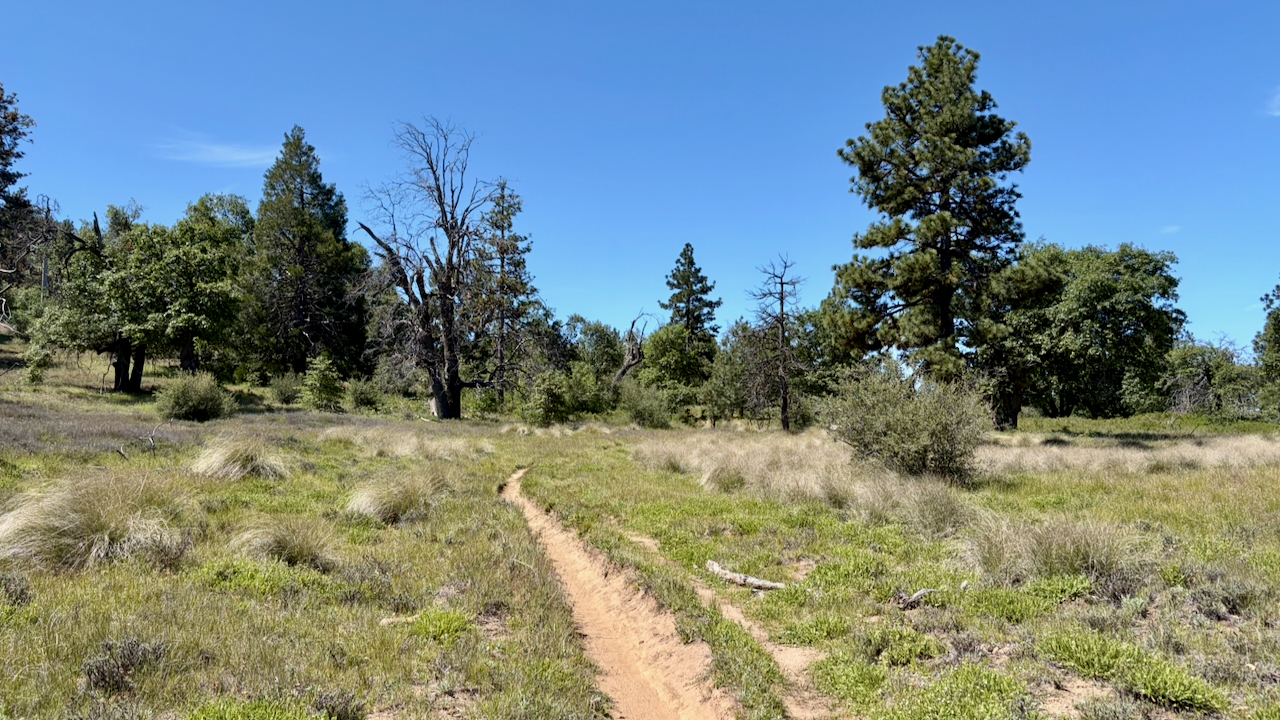 Trail View