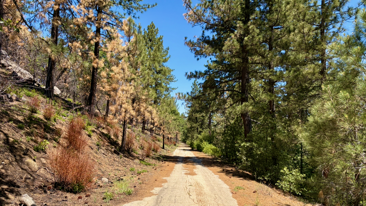 Trail View