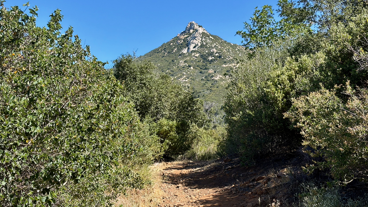 Trail View