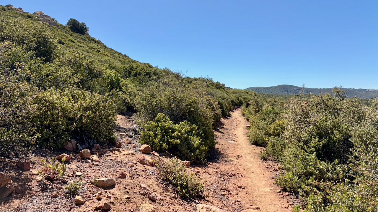 Trail View