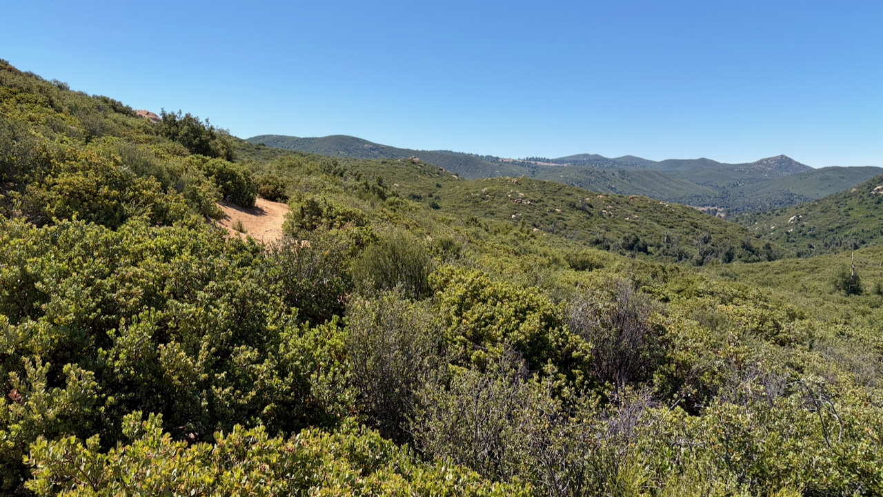 Overlook