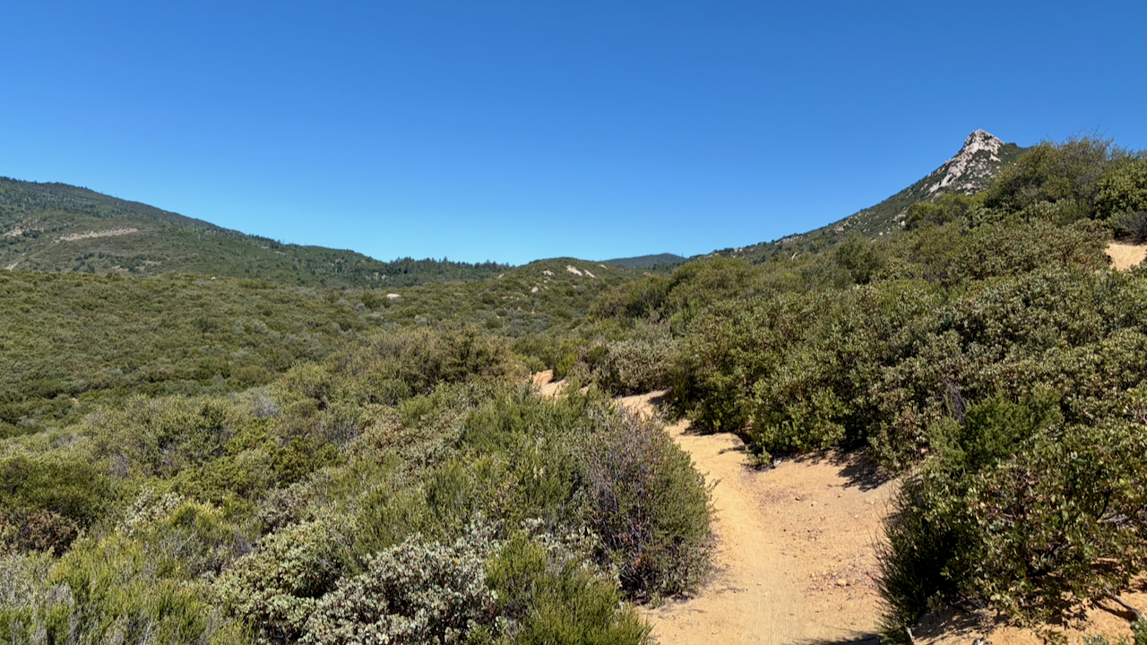 Trail View