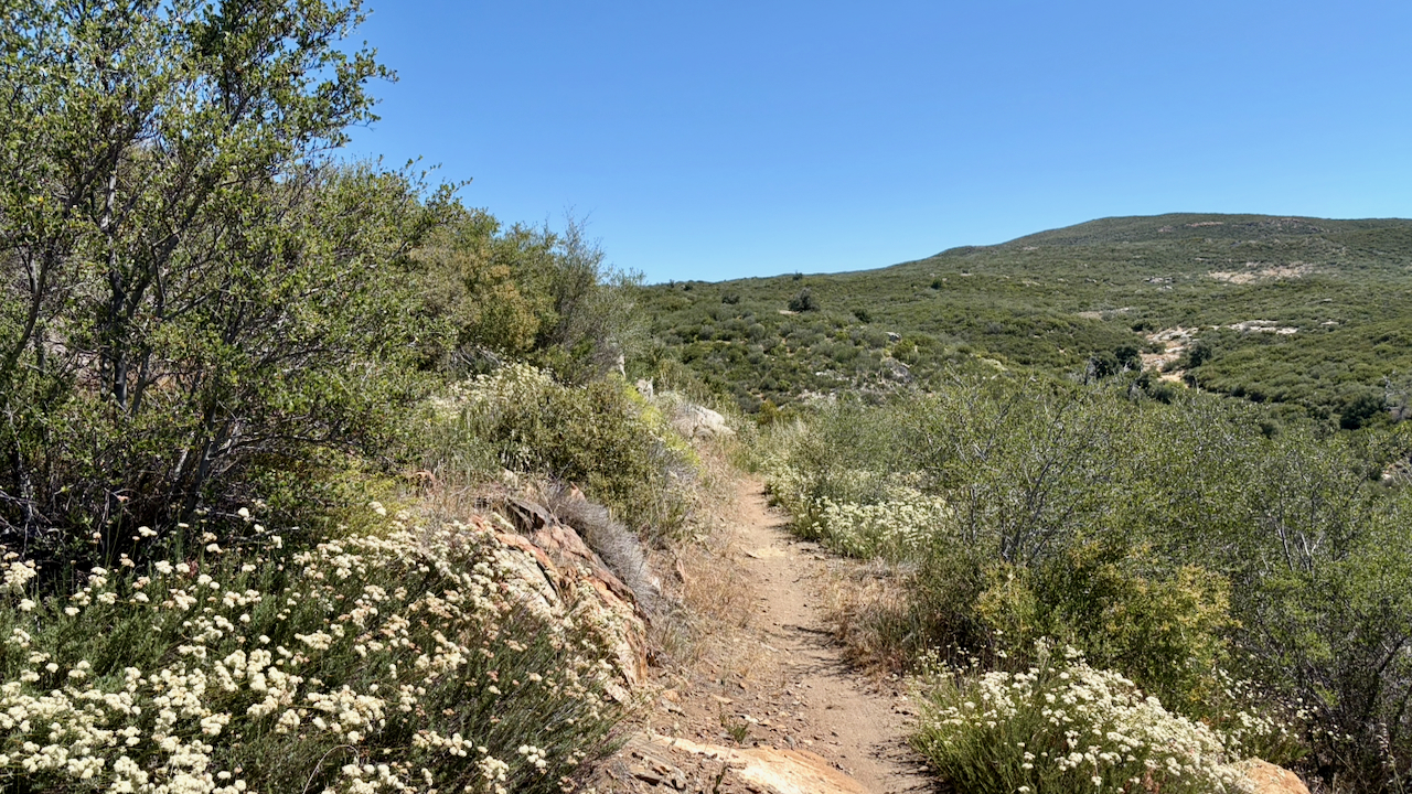 Trail View