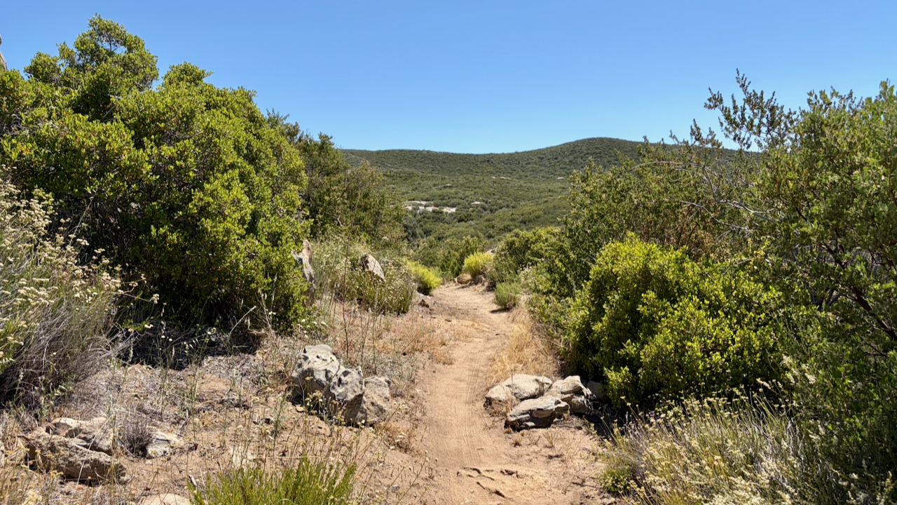 Trail View