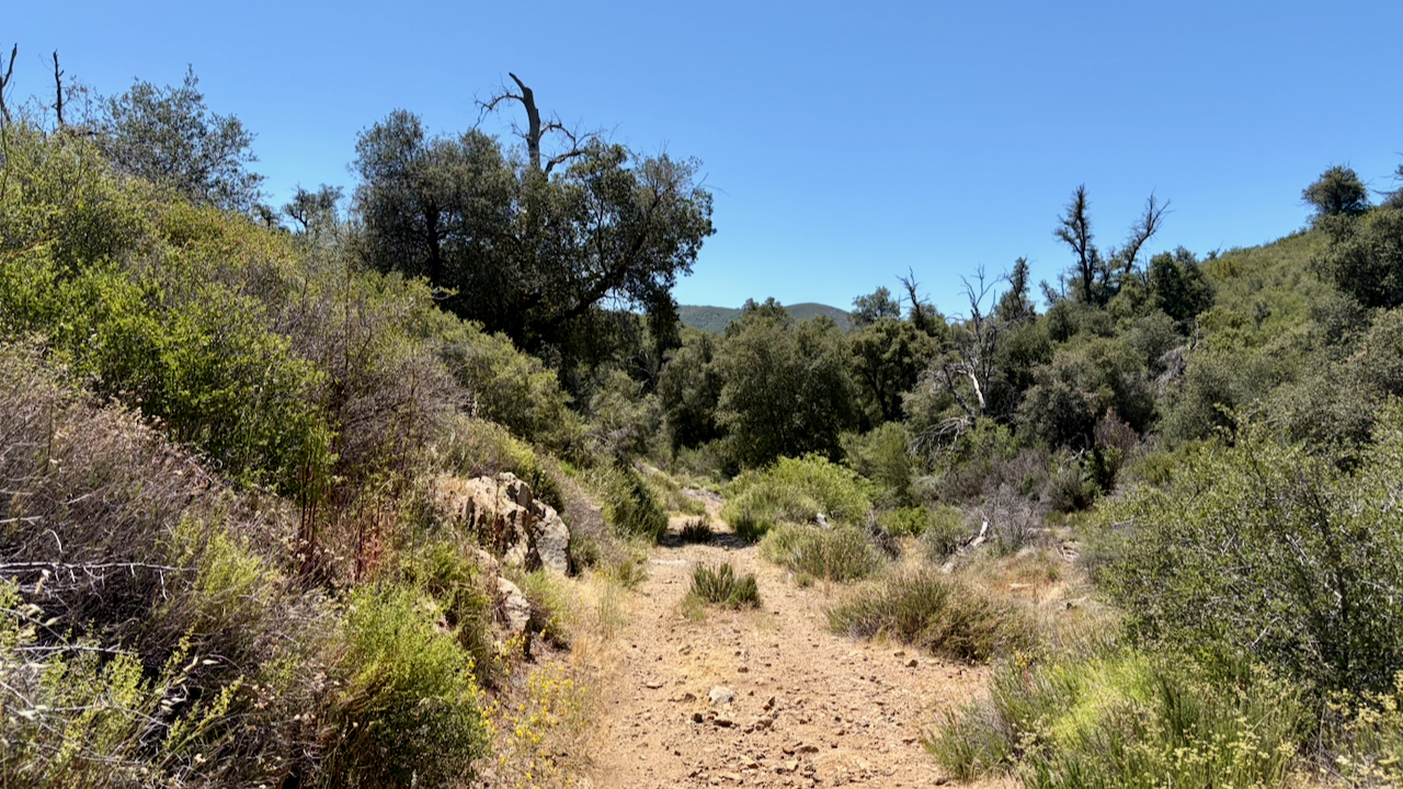 Trail View