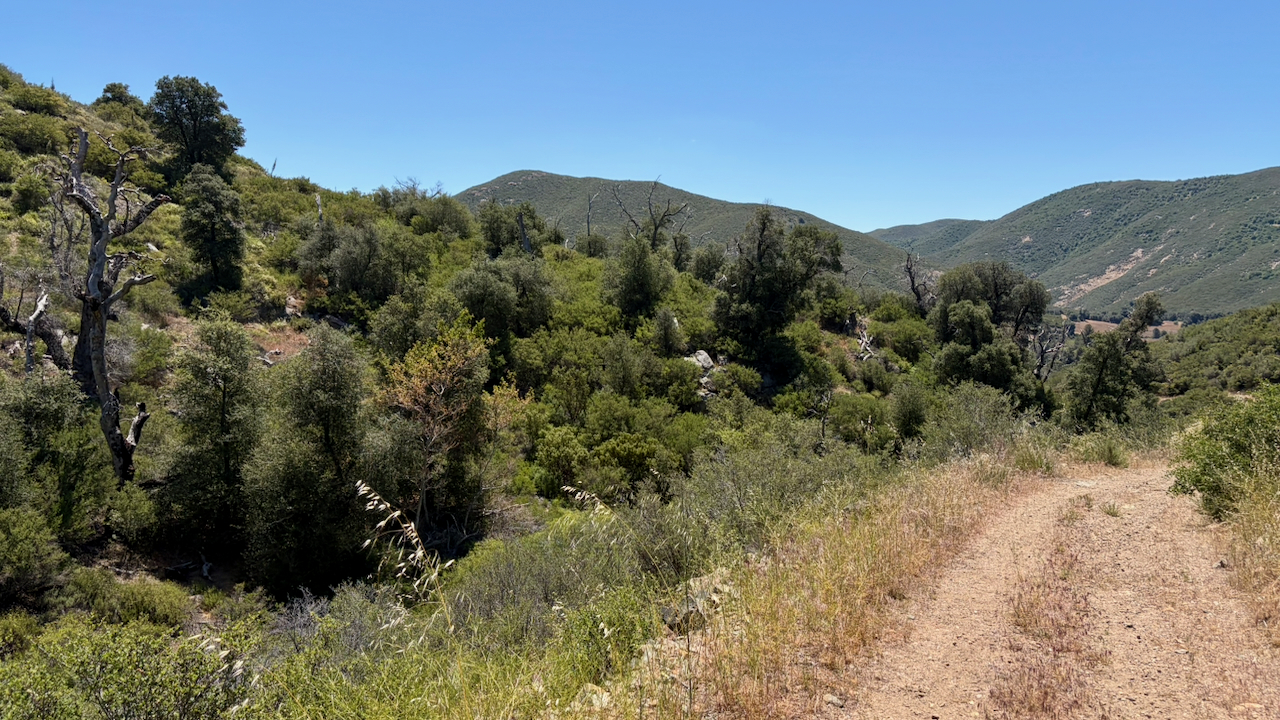 Trail View