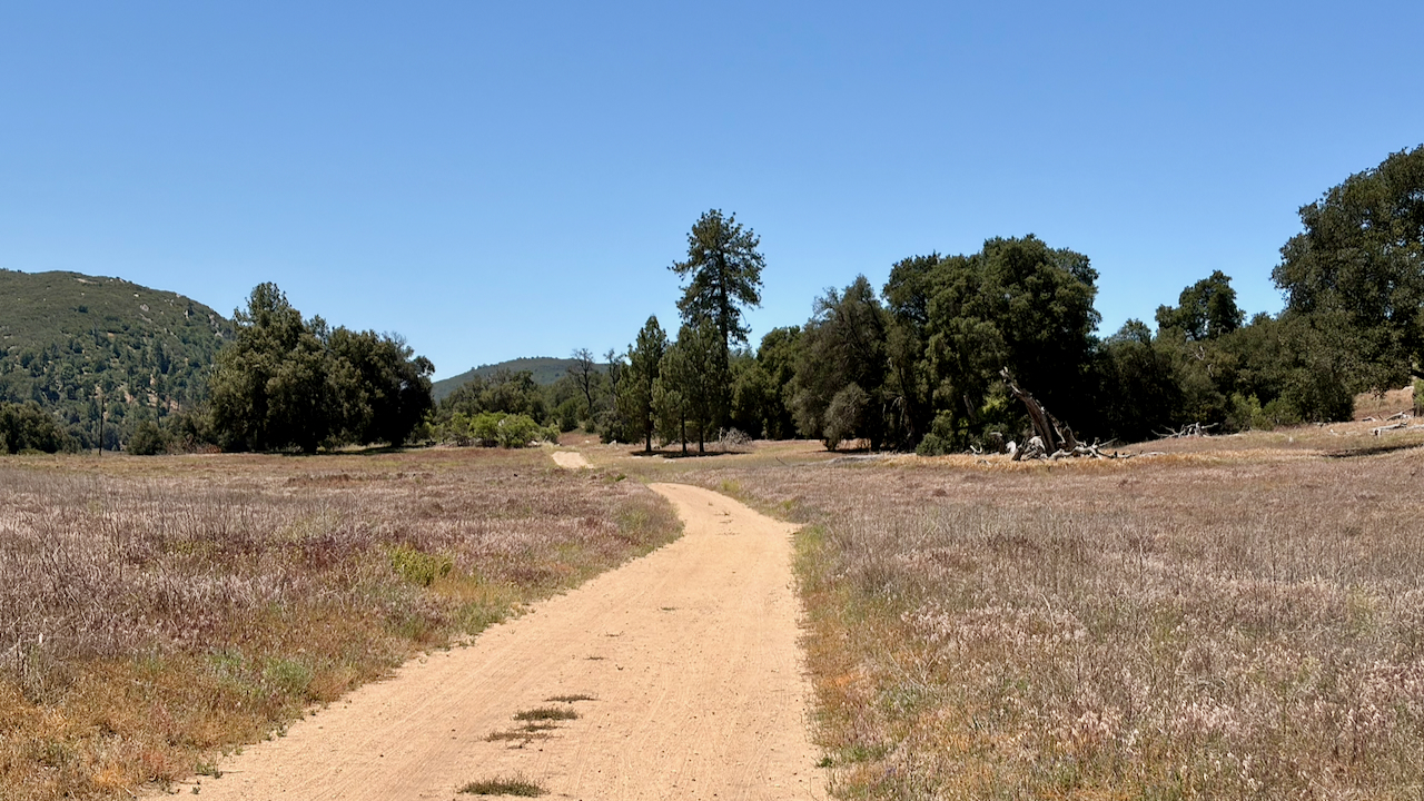 Trail View