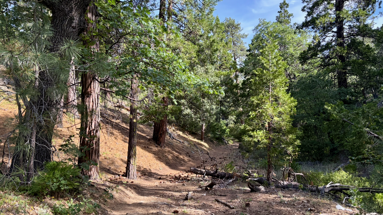 Trail View