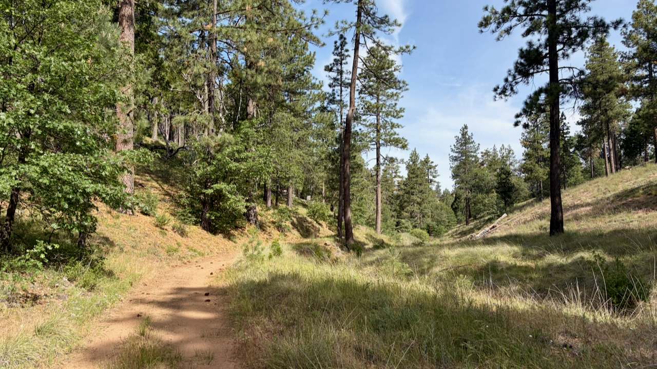 Trail View