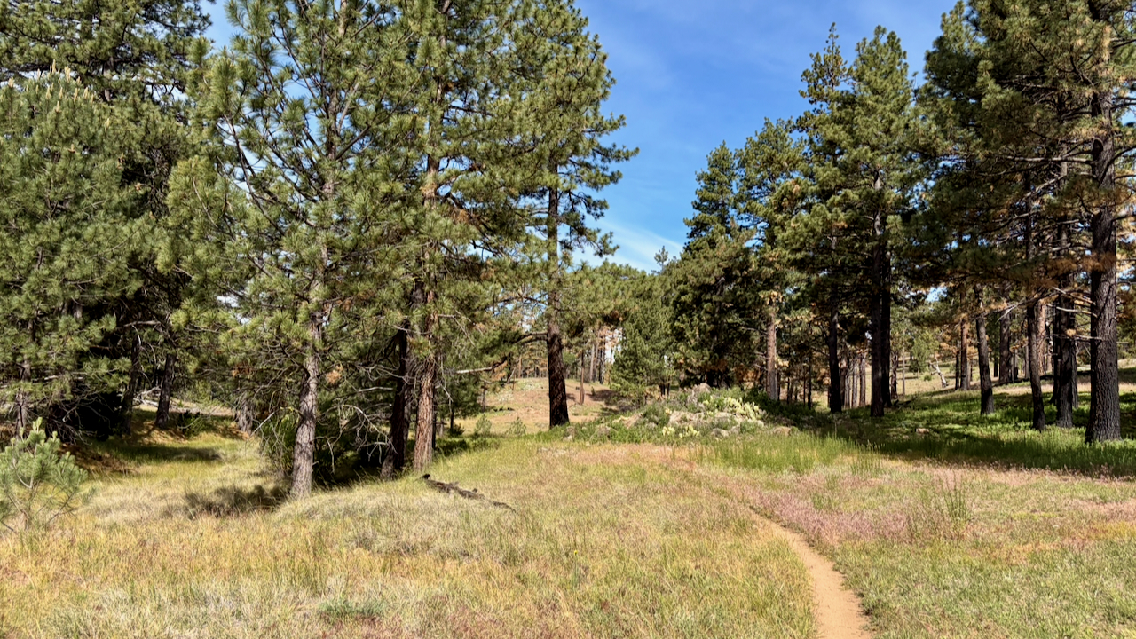 Trail View
