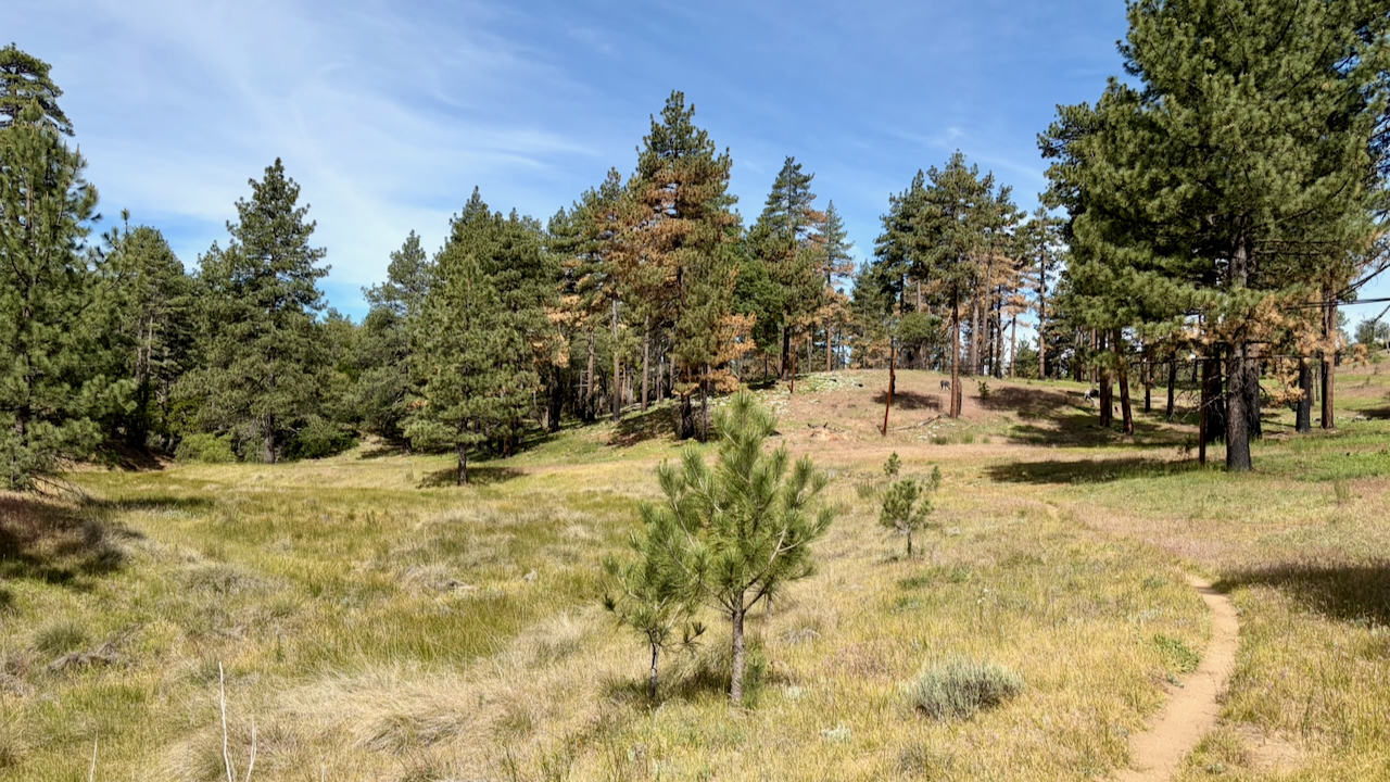 Trail View