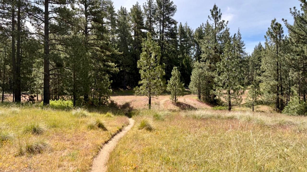 Trail View