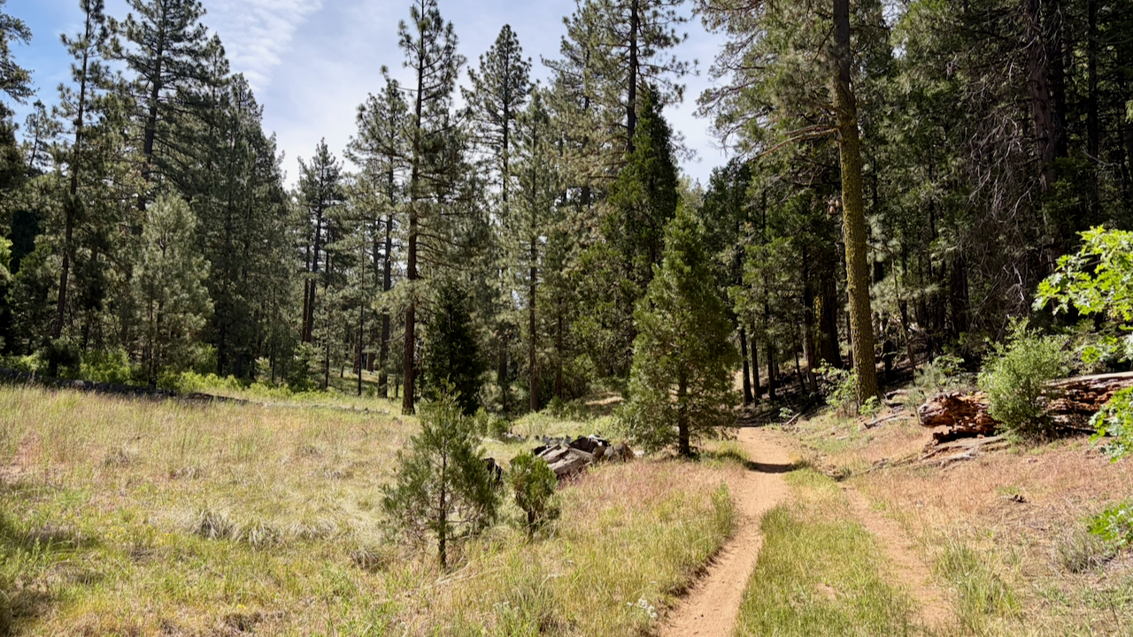 Trail View