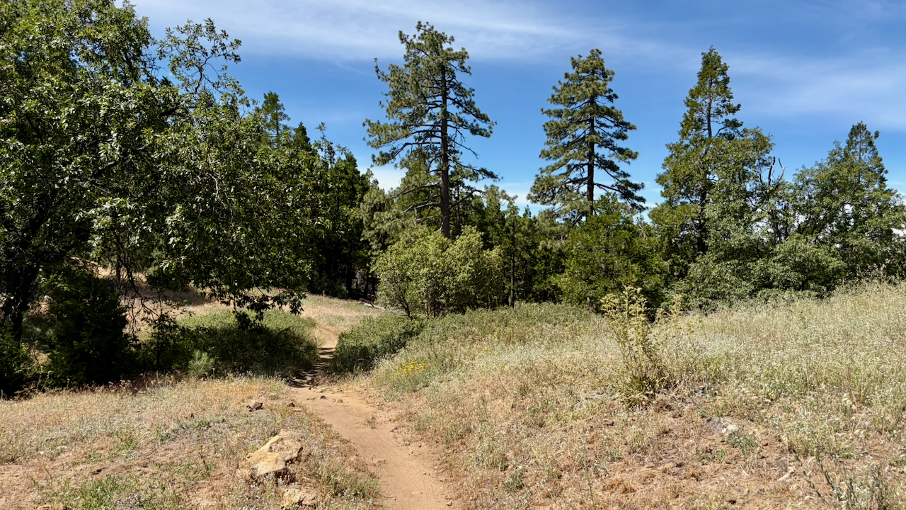 Trail View