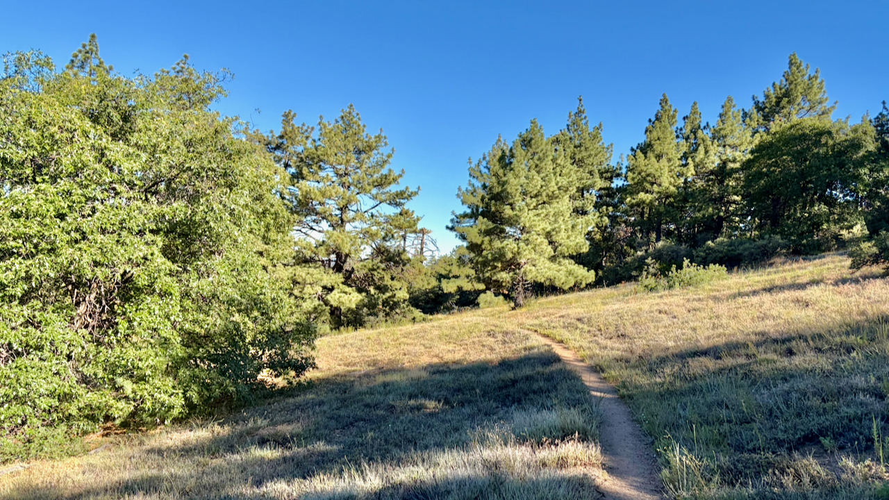 Trail View