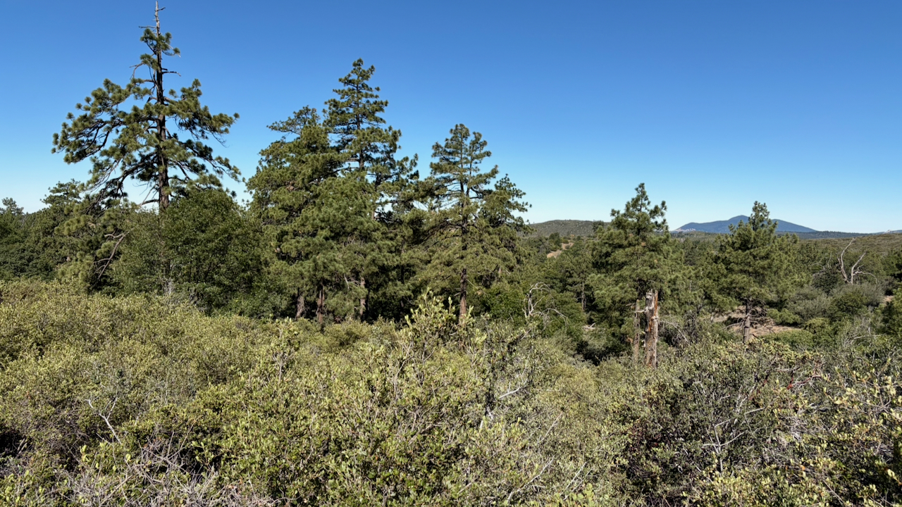 Overlook