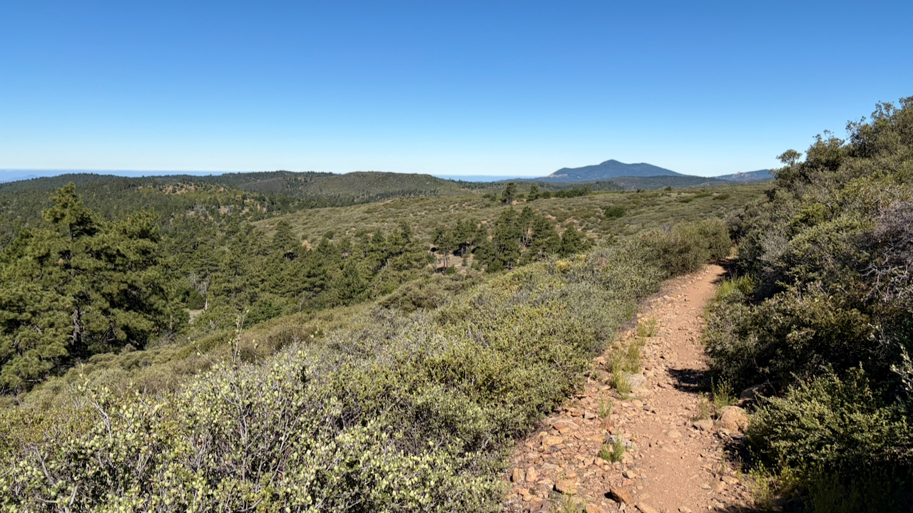 Trail View