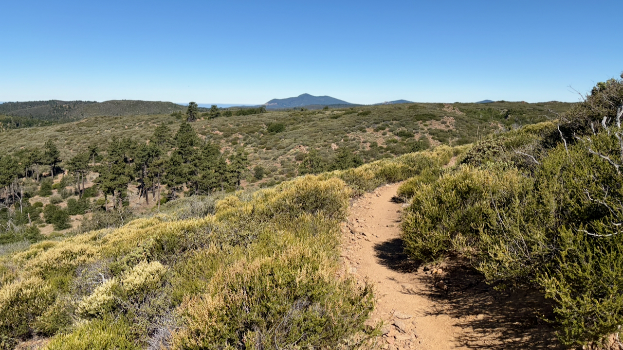 Trail View