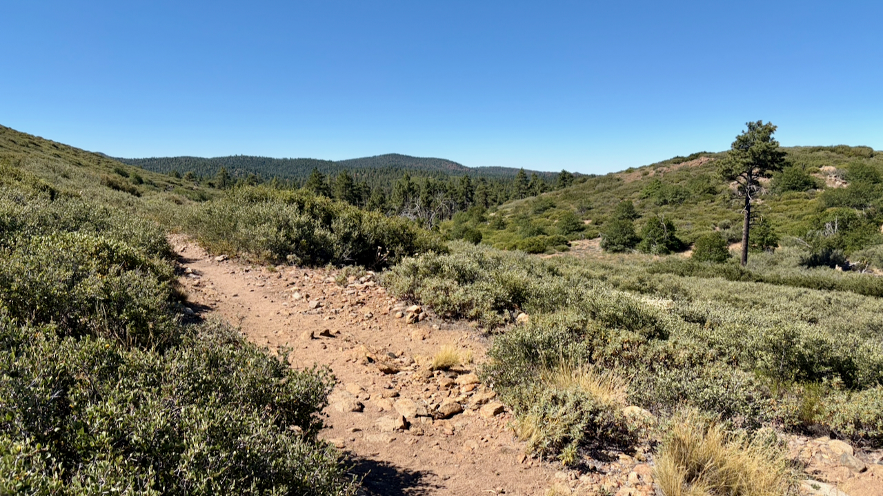 Trail View