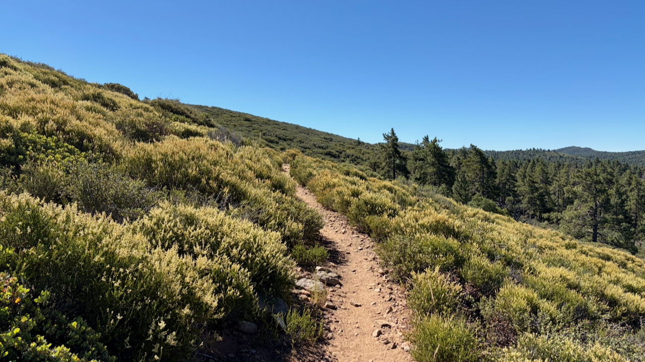 Trail View