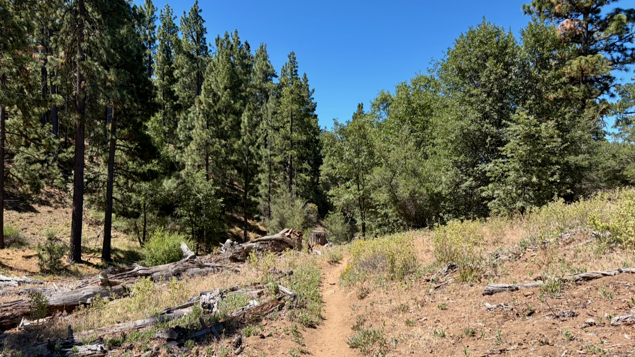 Trail View