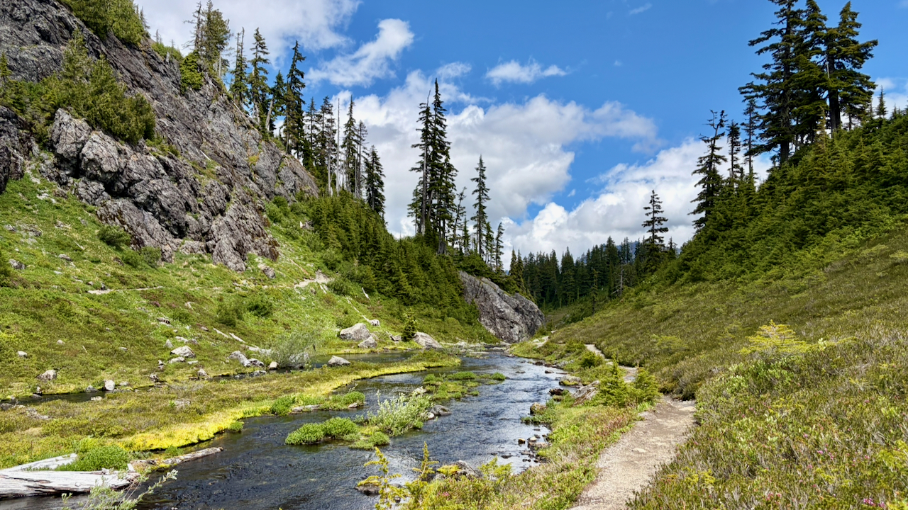 Trail View