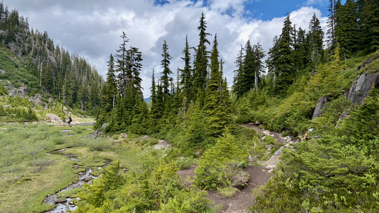 Trail View