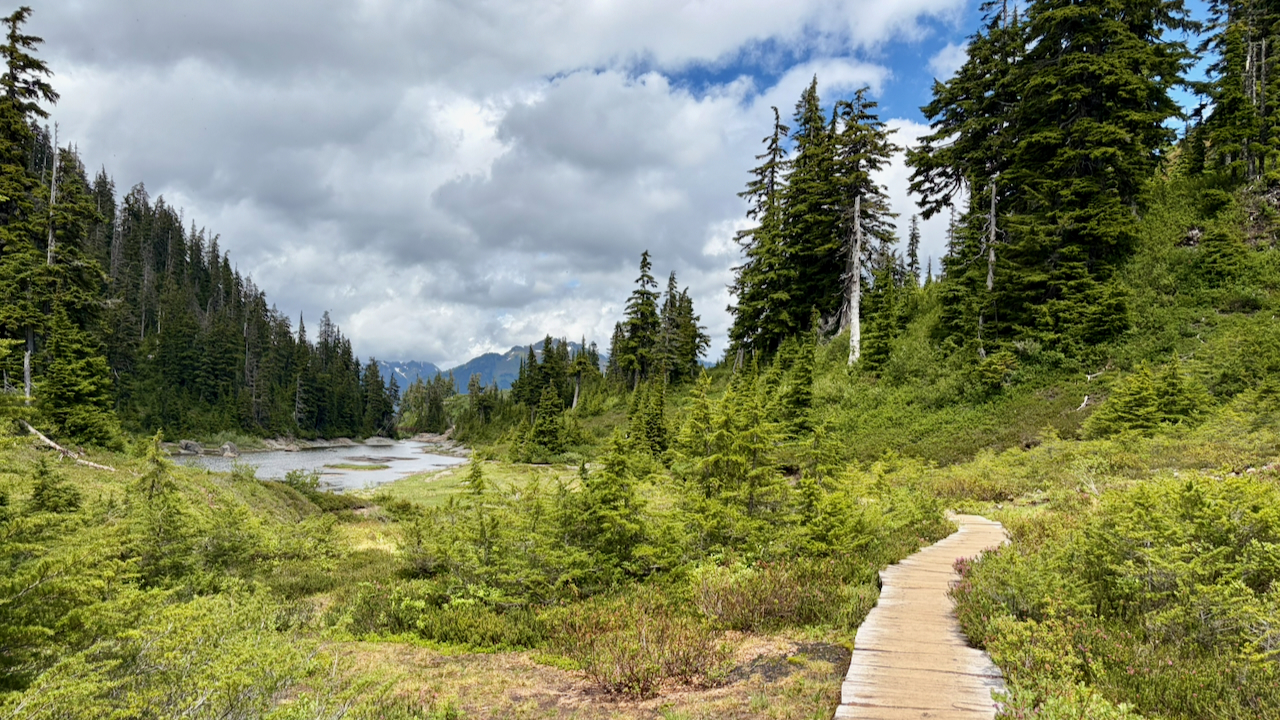 Trail View