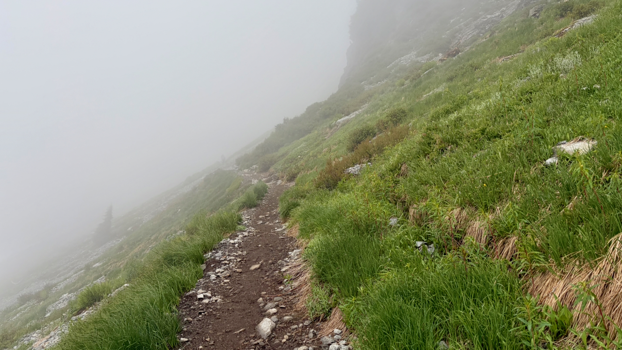 Trail View
