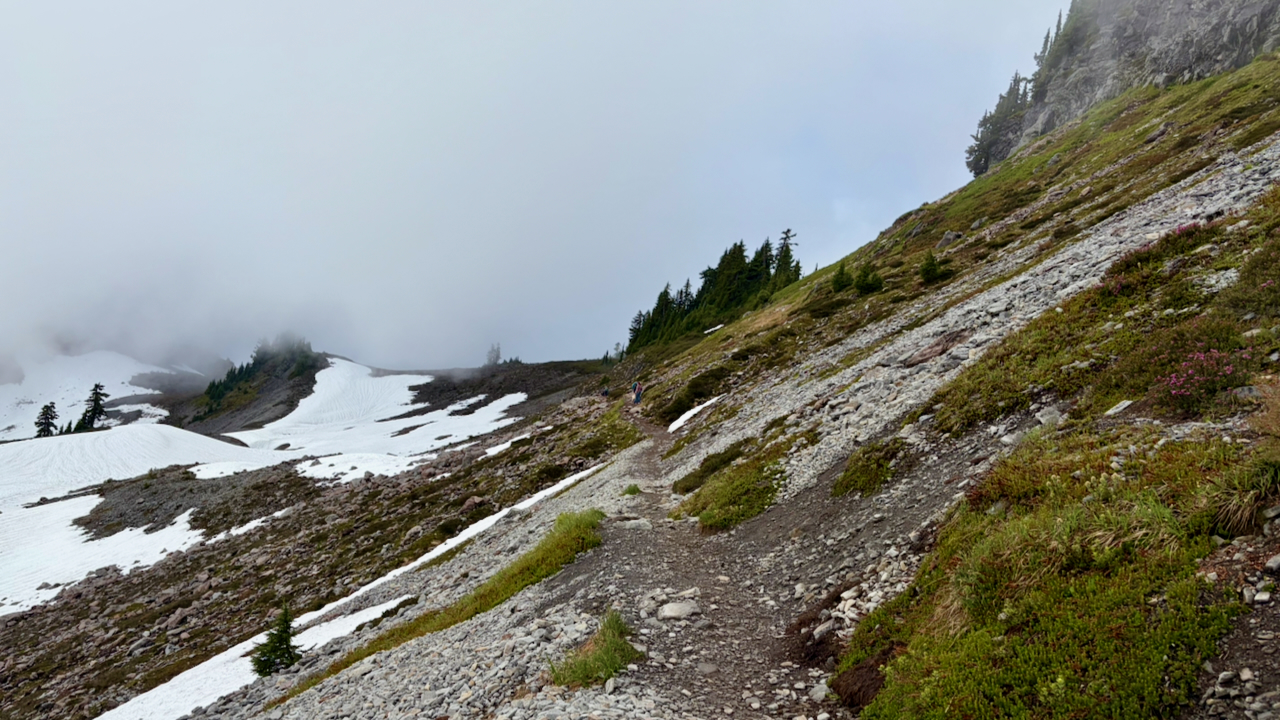 Trail View