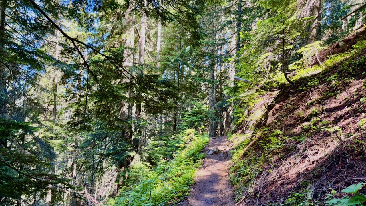 Trail View