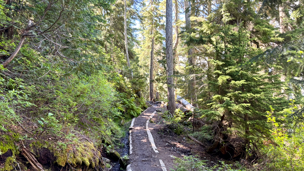 Trail View