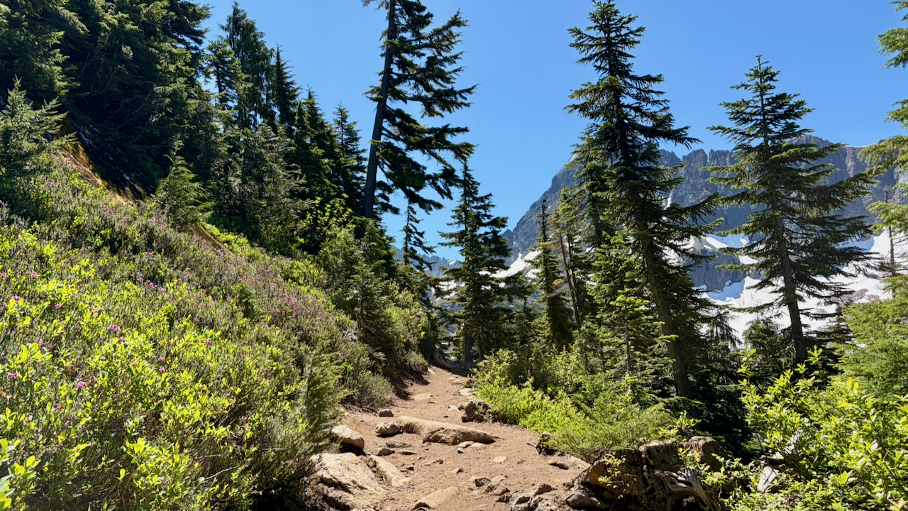 Trail View