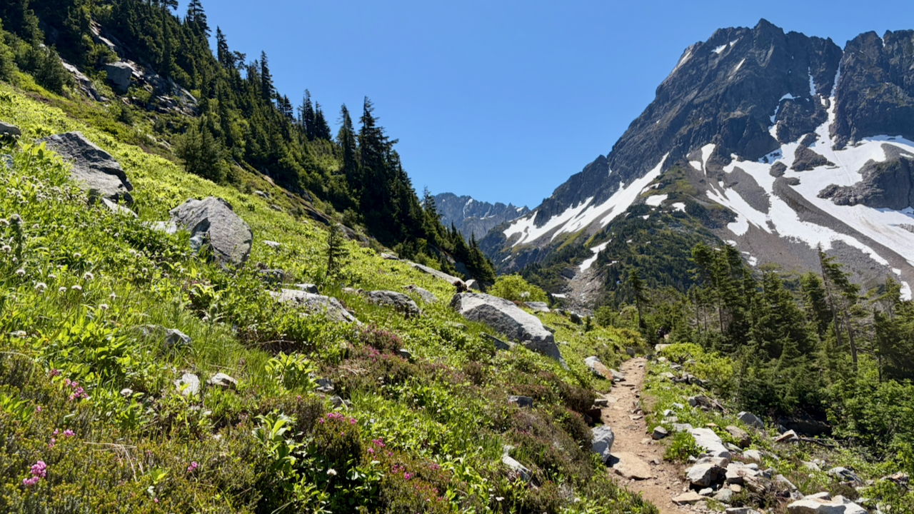 Trail View