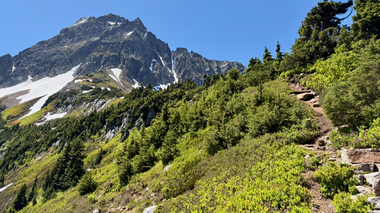 Trail View