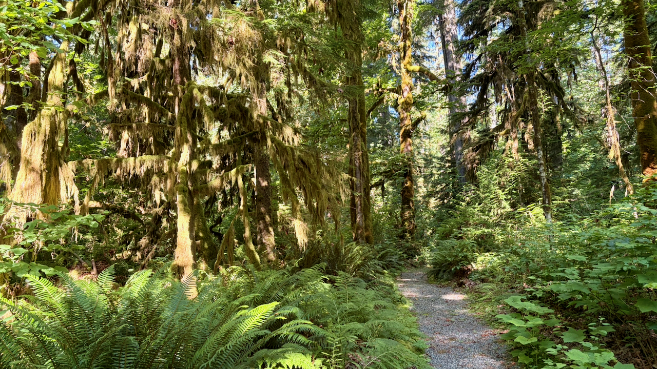 Trail View