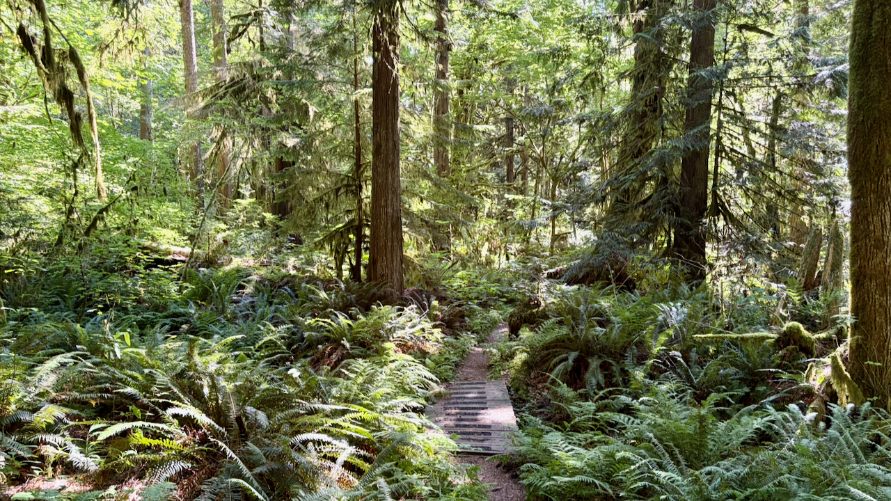 Trail View