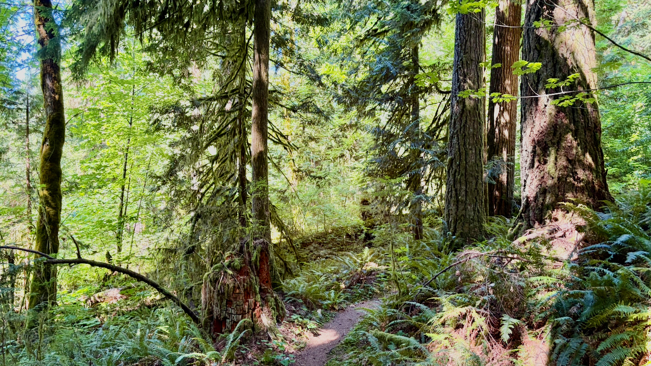 Trail View