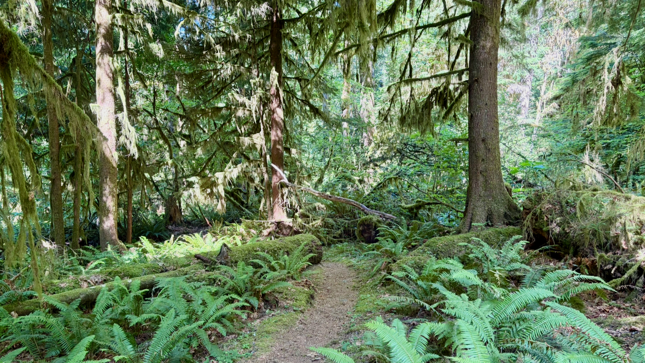 Trail View