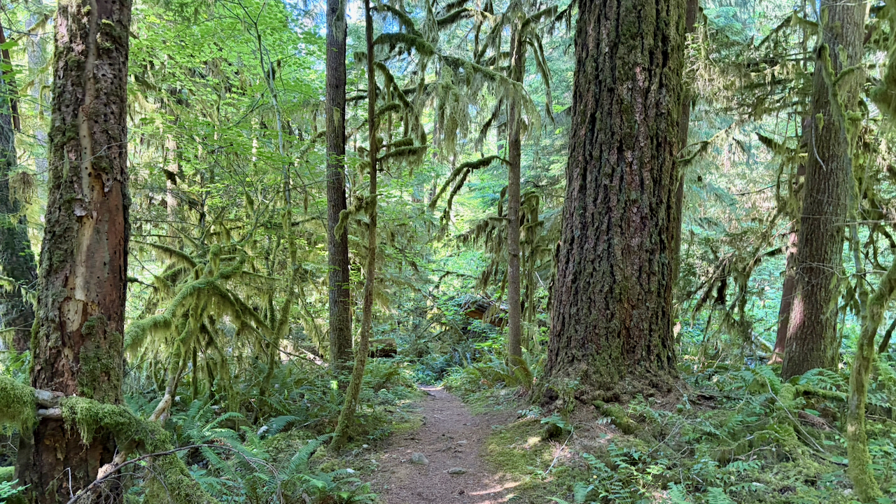 Trail View