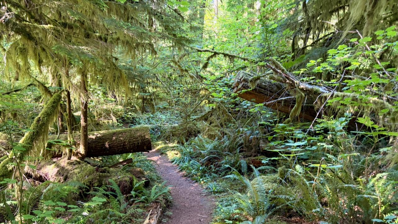 Trail View