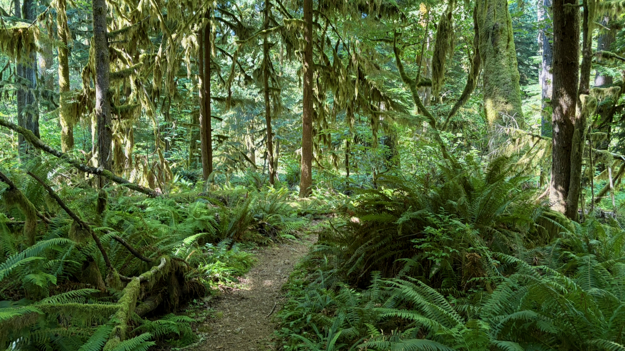 Trail View