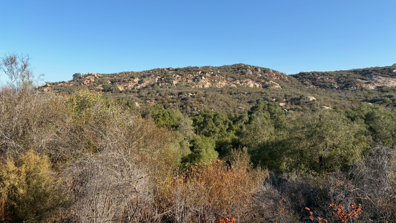 Overlook