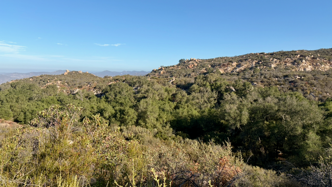 Overlook