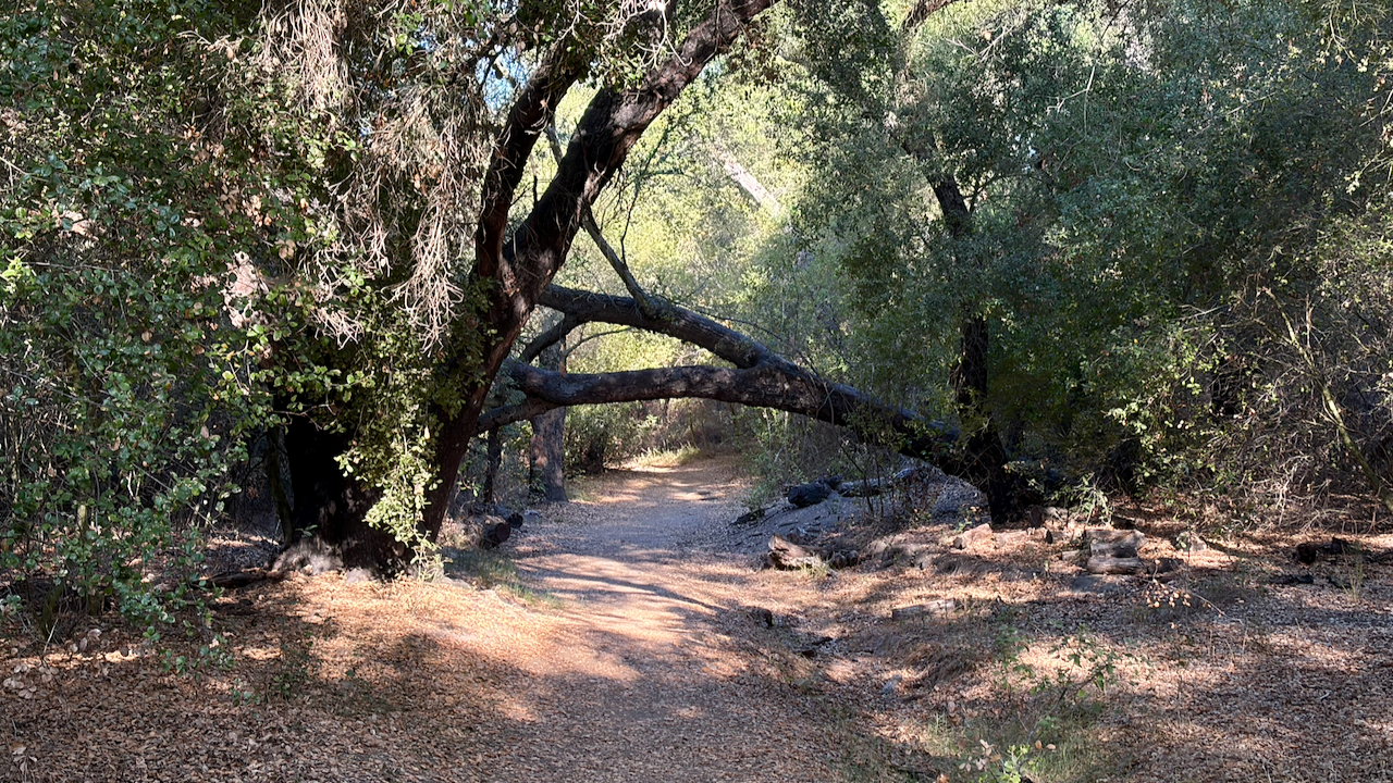 Trail View