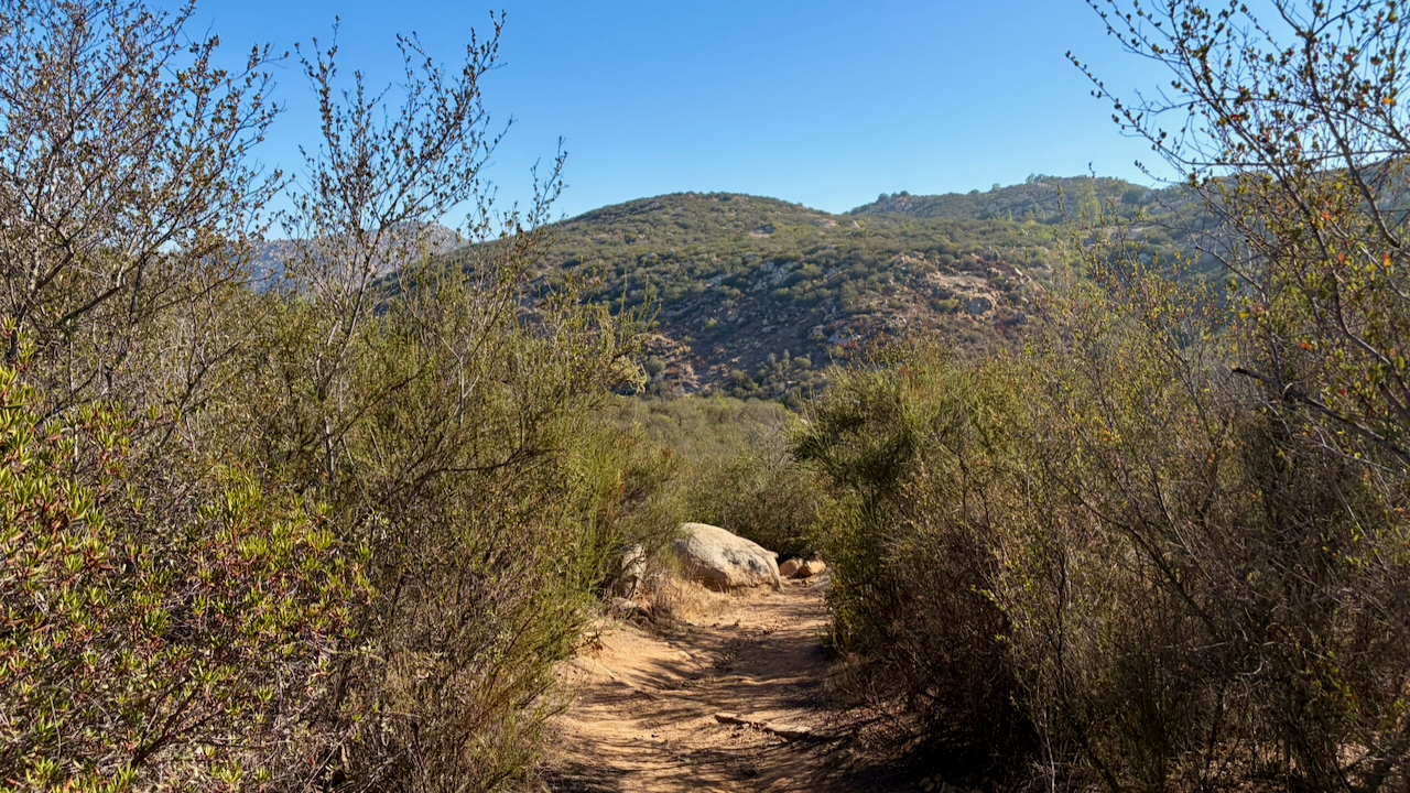 Trail View